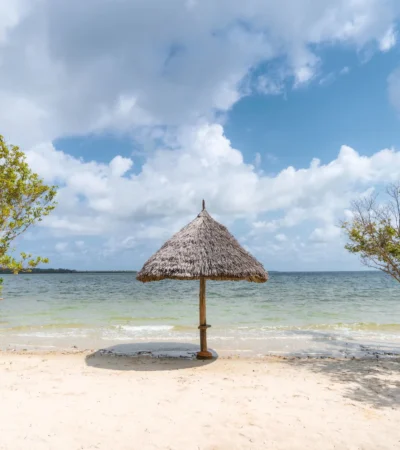 White beach vacation on Mafia Island, Tanzania