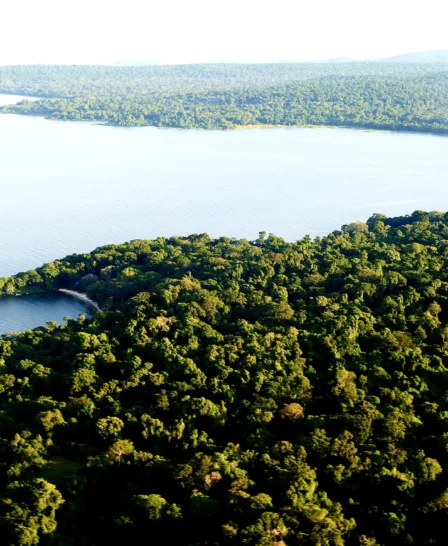 View of Rubondo Island National Park, Tanzania