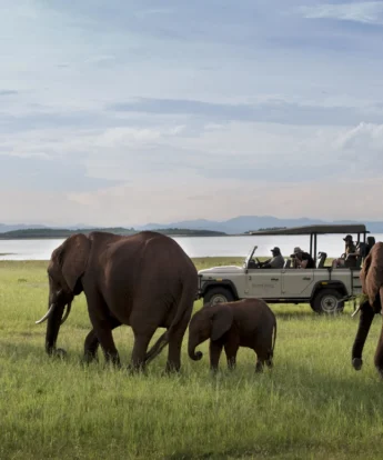 Game Drive, Bumi Hills, Lake Kariba, Zimbabwe