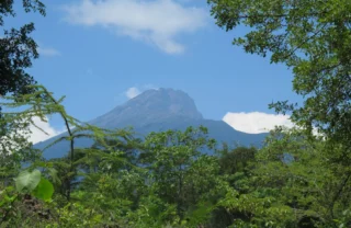 Mount Meru view, Arusha, Tanzania