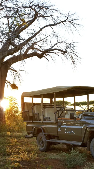singita pamushana game drive zimbabwe yellow zebra safaris