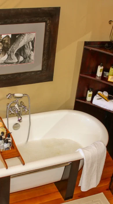 15. Imvelo Safari Lodges Zambezi Sands Bathroom
