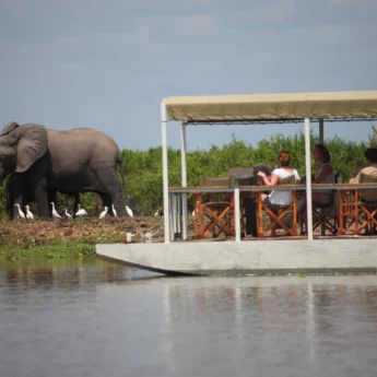 Boat cruise, Selous Game Reserve, Tanzania