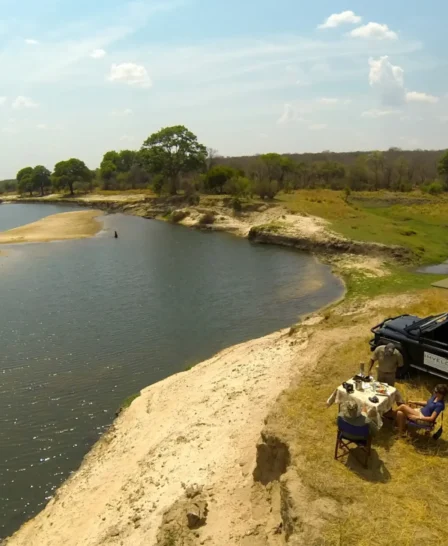 zambezi sands river camp bush dinner zimbabwe yellow zebra safaris