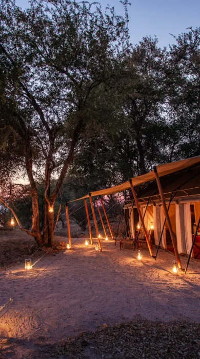 sapi explorers camp view zimbabwe yellow zebra safaris