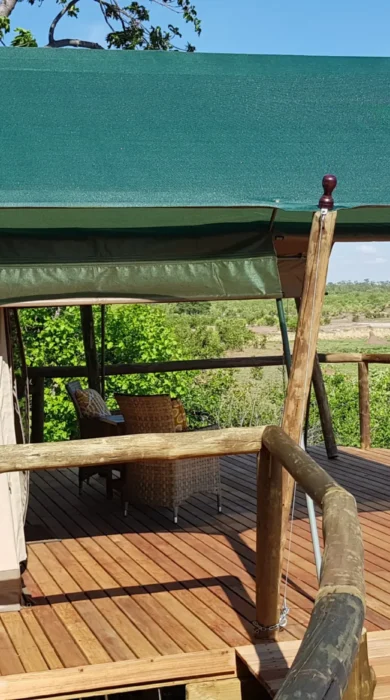 deteema springs zimbabwe decking yellow zebra safaris
