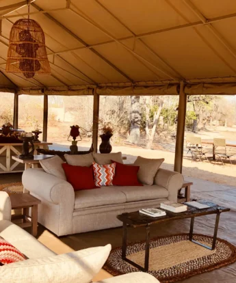ingwe pan camp main area yellow zebra safaris