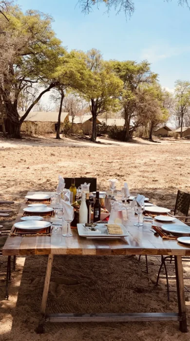 ingwe pan camp dining yellow zebra safaris