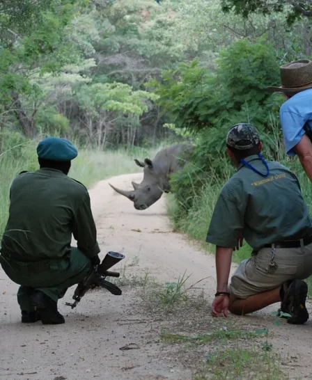 rhino trekking, matobo national park, zimbabwe safaris