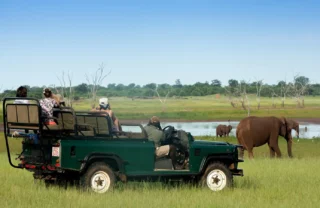 game drive, lake kariba and matusadona national park, zimbabwe