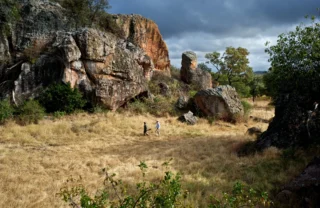 bush walk, gonarezhou national park, zimbabwe safaris