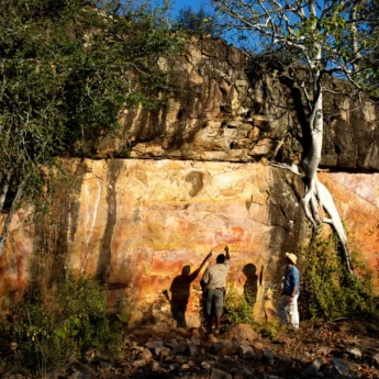Singita Pamushana Rock Art