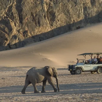 11. November in Namibia damaraland59 2