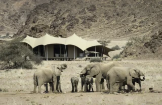 Hoanib Skeleton Coast 2014 08 316
