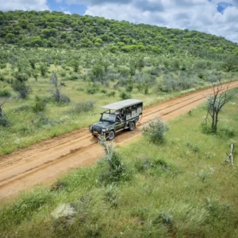 namibias known highlights, Ongava Lodge, game drive
