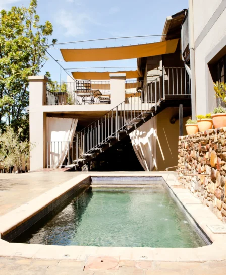 swimming pool olive grove guesthouse namibia yellow zebra safaris