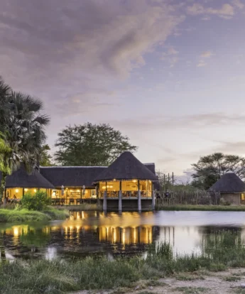 Onguma Bush Camp 1098