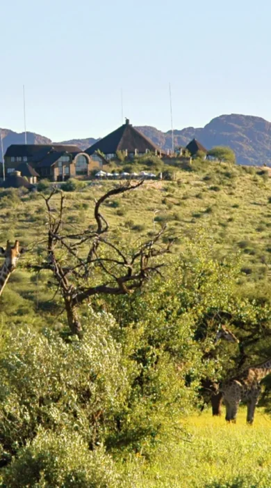 GocheGanas Lodge with Giraffe