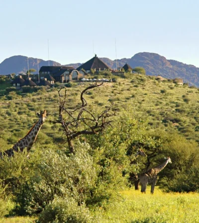 GocheGanas Lodge with Giraffe