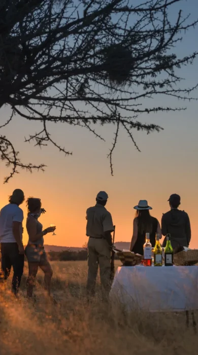 sundowners, little ongava, etosha national park, namibia