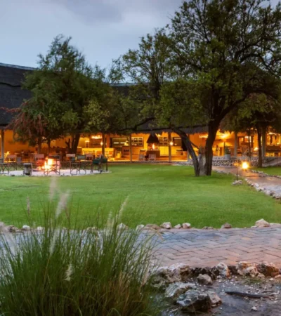 mushara bush lodge namibia yellow zebra safaris