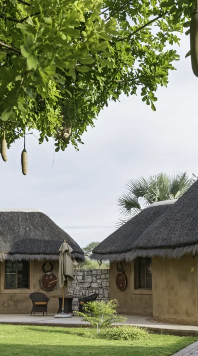 Onguma Bush Camp 1004