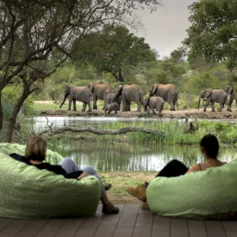 elephant watch, timbavati private game reserve, south africa