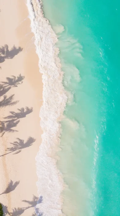 Aerial beach views of a palm tree fringed white beach and ocean, Zuri Zanzibar, Tanzania - Yellow Zebra Safaris