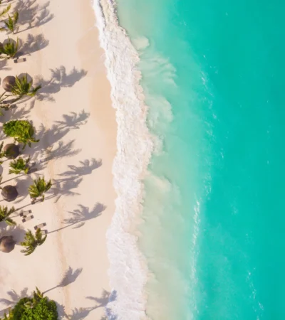 Aerial beach views of a palm tree fringed white beach and ocean, Zuri Zanzibar, Tanzania - Yellow Zebra Safaris
