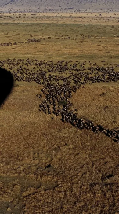 Hot air ballooning, The Serengeti, Tanzania