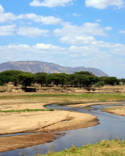 Ruaha river, Ruaha National Park landscape, Tanzania