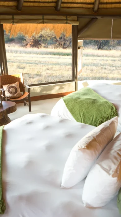 bush camp room bedroom