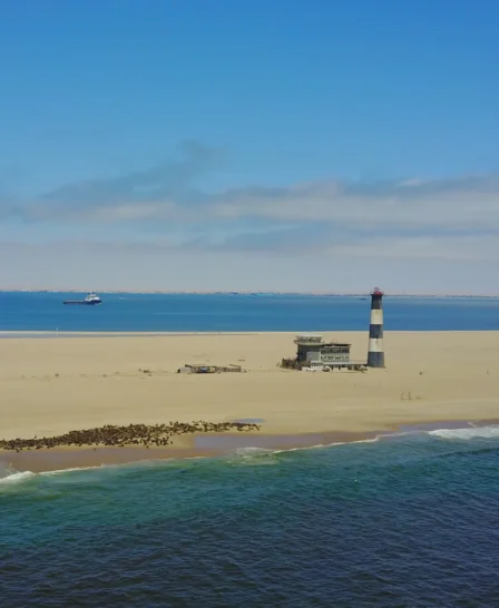 pelican point, swakopmund and walvis bay, namibia safaris