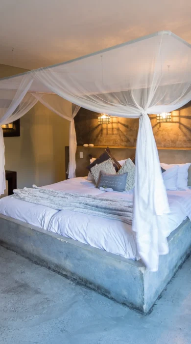bedroom olive grove guesthouse namibia yellow zebra safaris