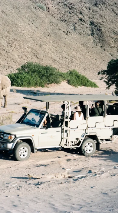 Elephant Namibia safari