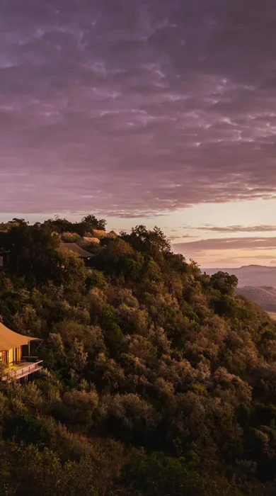Aerial view of the lodge amidst thick forest at sunset, Angama Mara, Masaai Mara, Kenya - Yellow Zebra Safari
