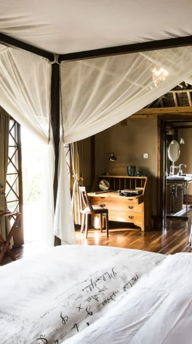 Safari room