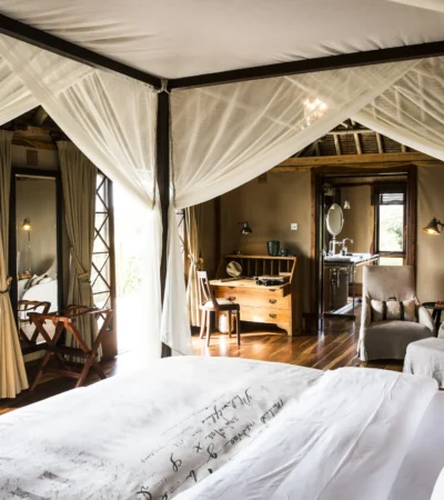 Safari room