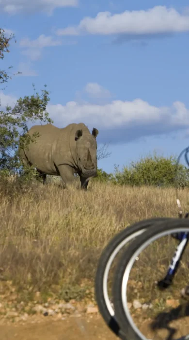 Namibia nature cycling
