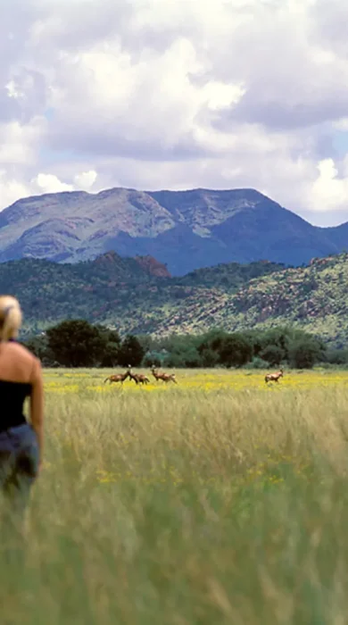 Walking safari