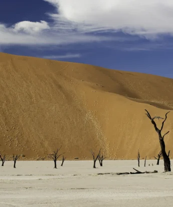 sand dunes, sossusvlei safaris, namibia holidays