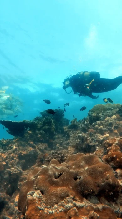 Benguerra Island Scuba Diving