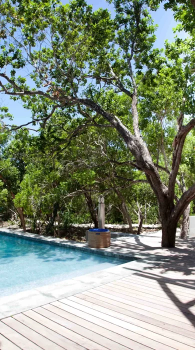 Vamizi Island Suluwilo Swimming Pool with Ocean View