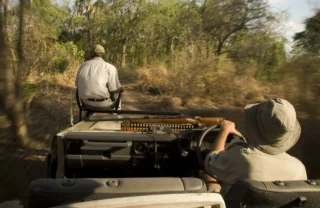 game drive, niassa safari park, mozambique safaris