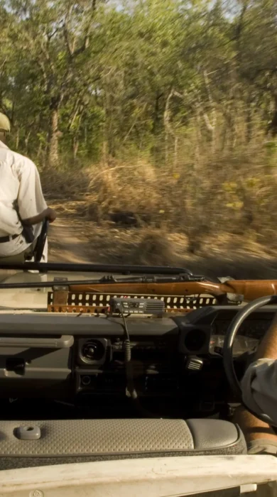 game drive, niassa safari park, mozambique safaris