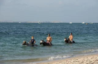 swimming with horses, bazaruto beach, mozambique safari holidays