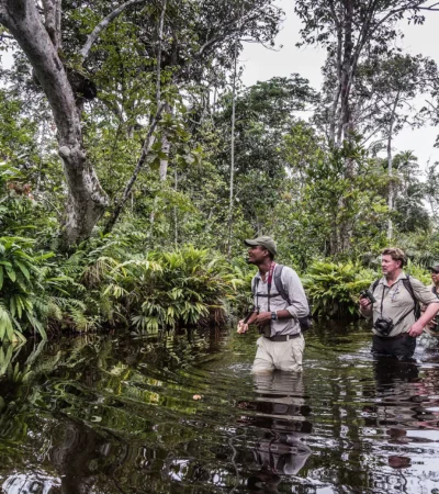 walking safaris, republic of the congo, africa holidays