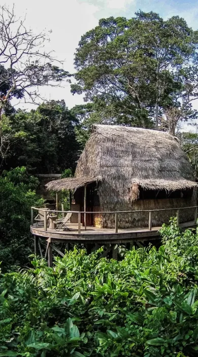 forest room