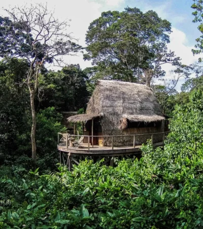 forest room