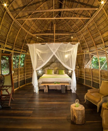 congo camp